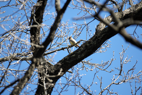 s-_DSC5249