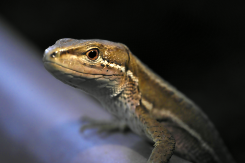 s-_DSC0573