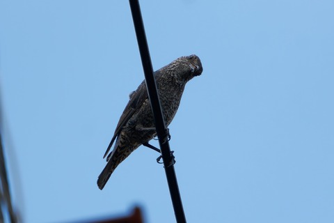 67L01043-ARW_DxO_DeepPRIMEXD