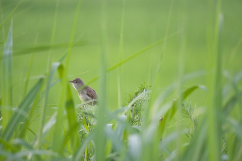 s-_DSC7792