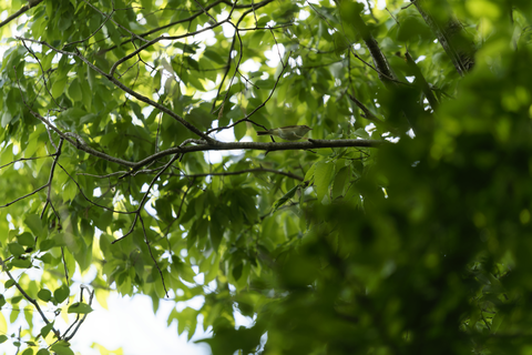 s-_A741885-ARW_DxO_DeepPRIMEXD