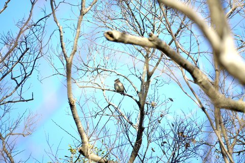 s-_DSC5194