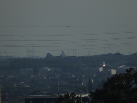 DSCN0022