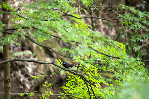 s-_DSC8310