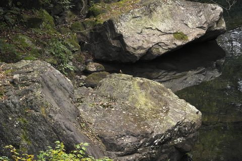 s-_DSC2487