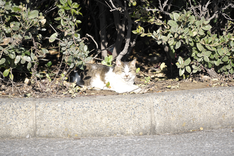 s-_DSC0505