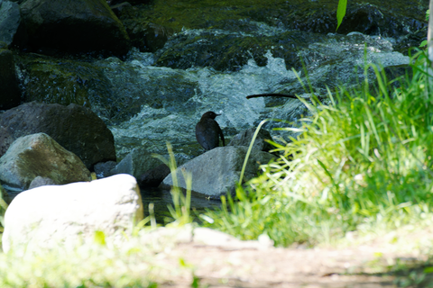 s-D6701480-ARW_DxO_DeepPRIMEXD