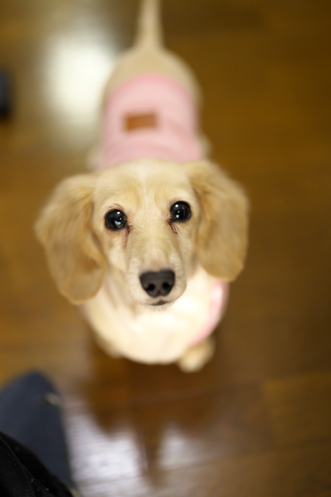 s-_DSC6826