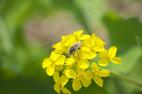 s-_DSC6475