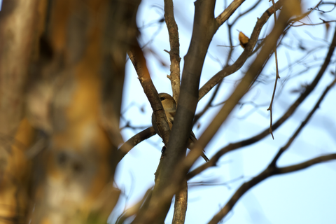 s-_DSC0824