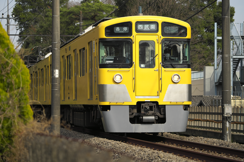 s-_DSC0434