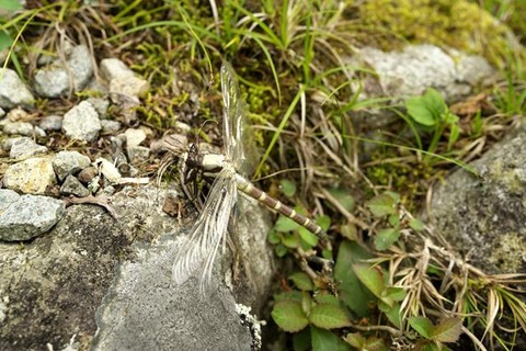 s-_DSC5075