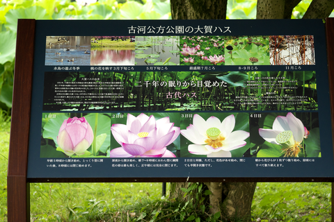 s-_DSC8328