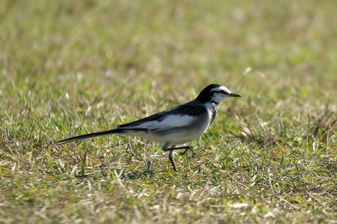 s-_DSC7923