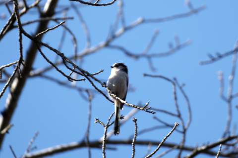 s-_DSC0847