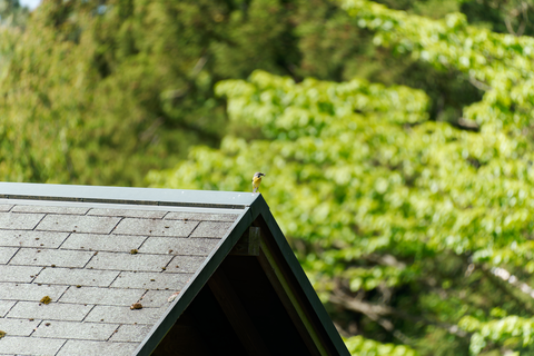 s-D6700469-ARW_DxO_DeepPRIMEXD