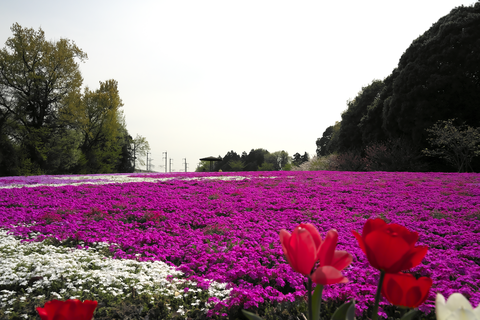 s-_DSC0510