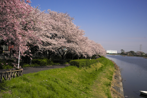 s-_DSC0477