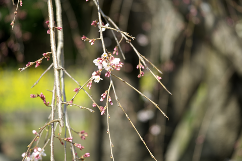 s-_DSC5840