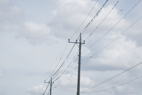 s-_DSC8660