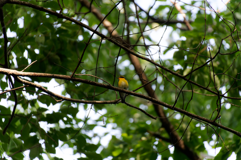 s-D6700750-ARW_DxO_DeepPRIMEXD