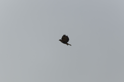 s-_67L6924-ARW_DxO_DeepPRIMEXD