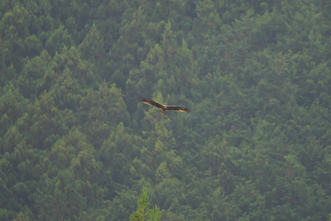 s-_DSC0855