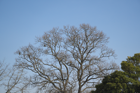 s-_DSC2955