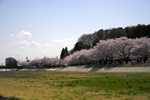 s-_DSC0483