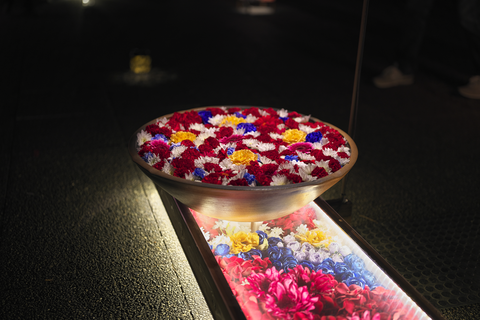 s-_DSC6551