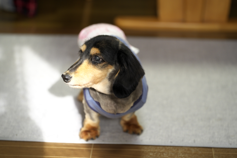 s-_DSC6715