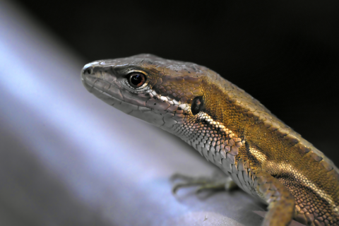 s-_DSC0581