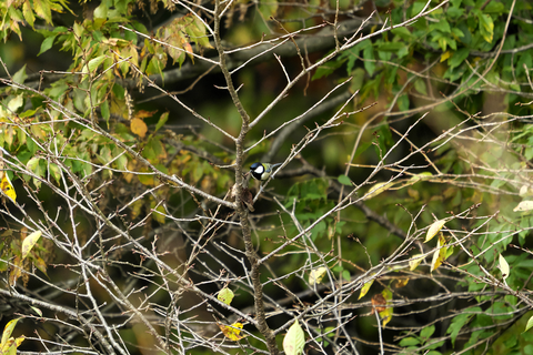 s-_DSC2474