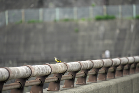 s-_DSC9899