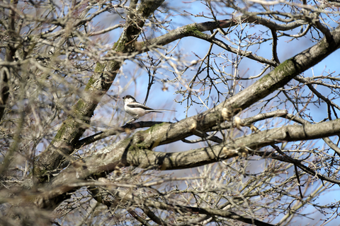 s-_DSC5270