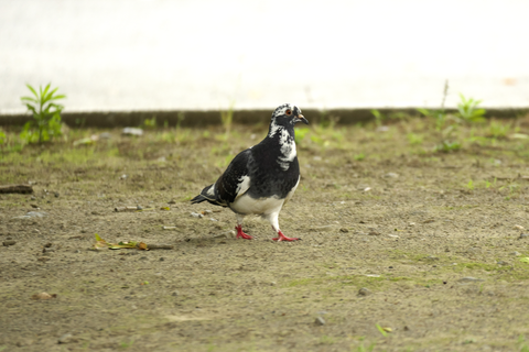 s-_DSC7722