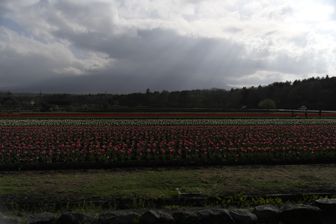 s-_DSC0673
