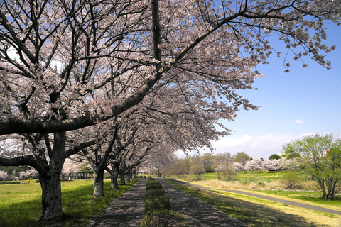 s-_DSC0480