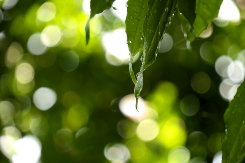 s-_DSC7372