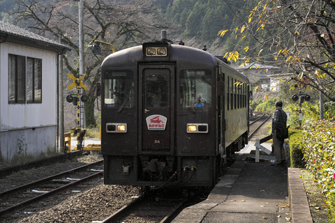s-_DSC2492