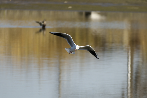 s-_DSC8401