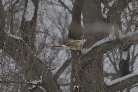 A7V03501_7008x4672