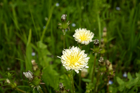 s-_DSC6495