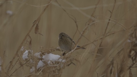 A7V03708_7008x4672
