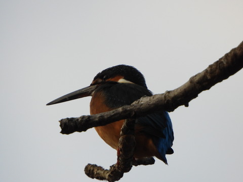 DSCN1324