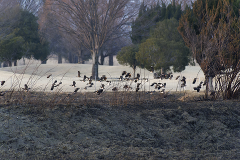 s-_67L6975-ARW_DxO_DeepPRIMEXD