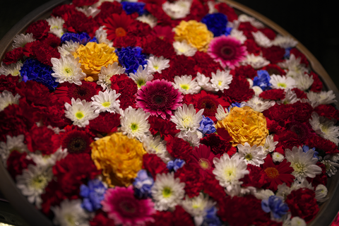 s-_DSC6553