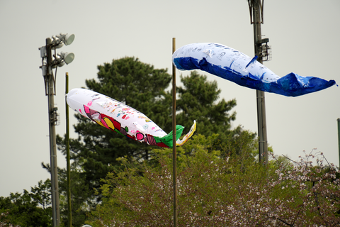 s-_DSC6517