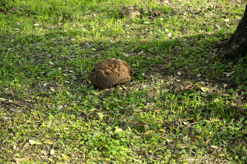 s-_DSC5798