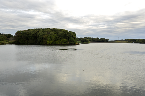 s-_DSC0963